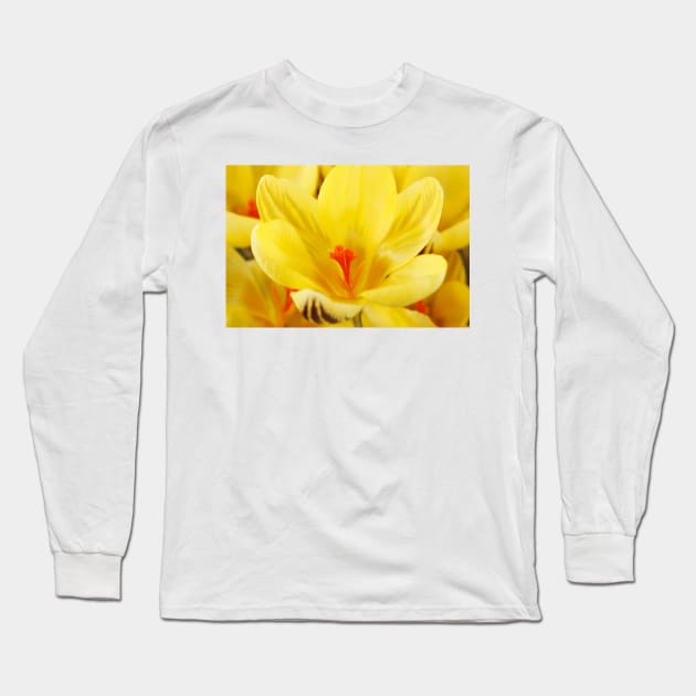 Crocus  'Gipsy Girl' Long Sleeve T-Shirt by chrisburrows